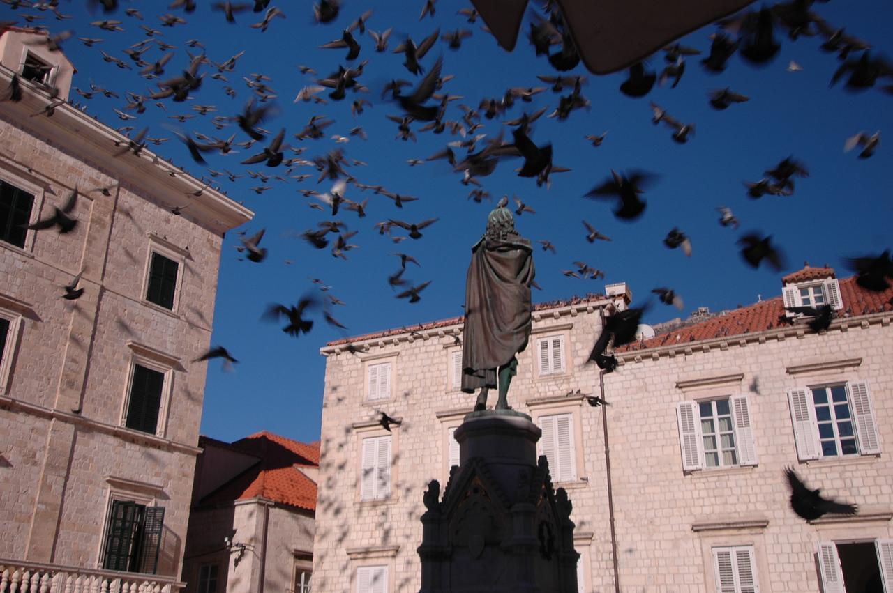 Villa Sigurata Dubrovnik Ngoại thất bức ảnh
